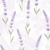 Papel de Parede Adesivo Lavanda Aquarela