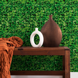 Papel de Parede Adesivo Folhas Muro Inglês