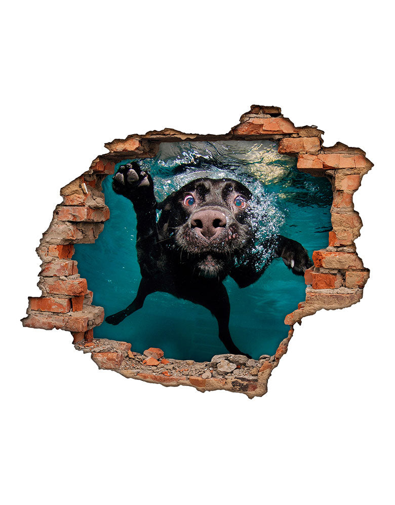 Adesivo Buraco 3D Cachorro Nadando