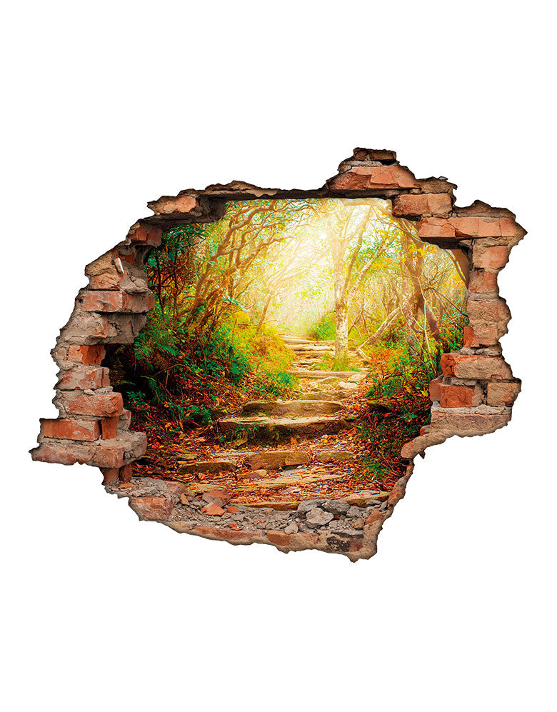 Adesivo Decorativo Buraco 3D Caminho na Floresta