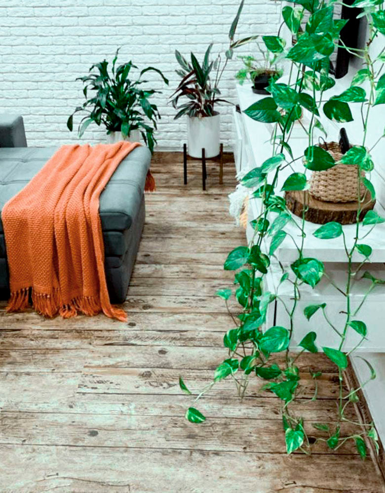 Adesivo para Chão Tábua