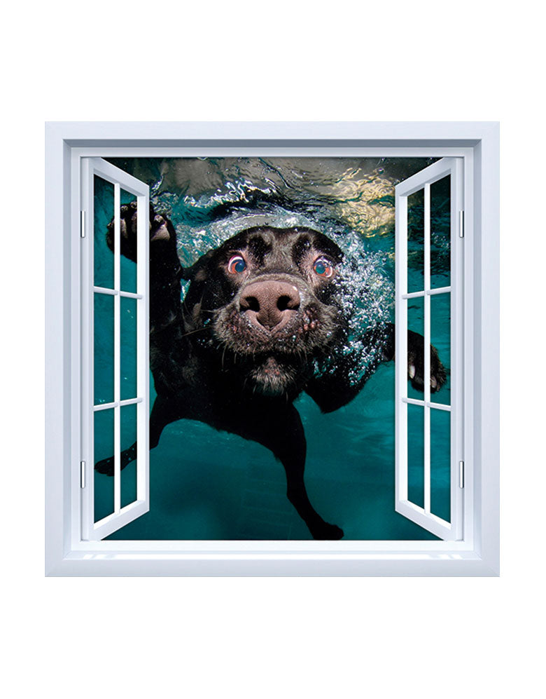 Adesivo de Janela Cachorro Nadando