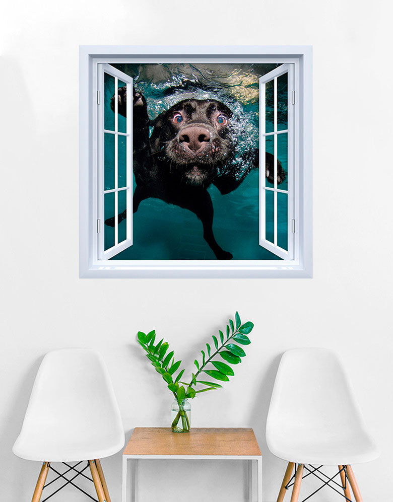 Adesivo de Janela Cachorro Nadando