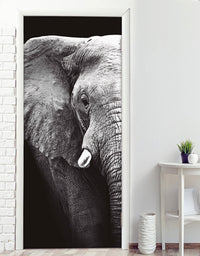 Adesivo para Porta Elefante