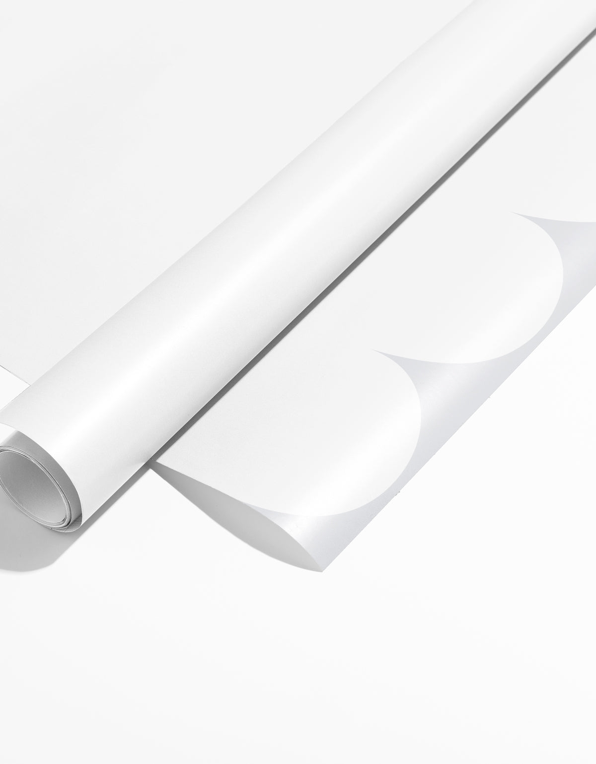 Papel de Parede Adesivo Meia Parede Cerquinha Branco