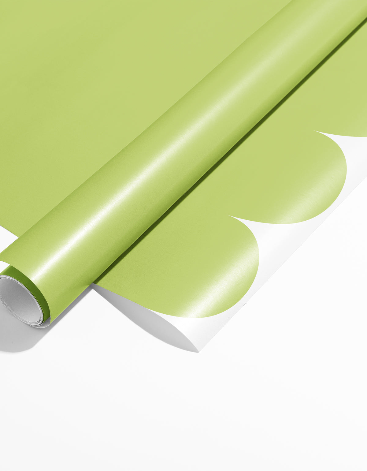Papel de Parede Adesivo Meia Parede Cerquinha Erva Doce