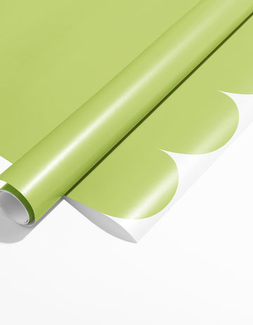 Papel de Parede Adesivo Meia Parede Cerquinha Erva Doce