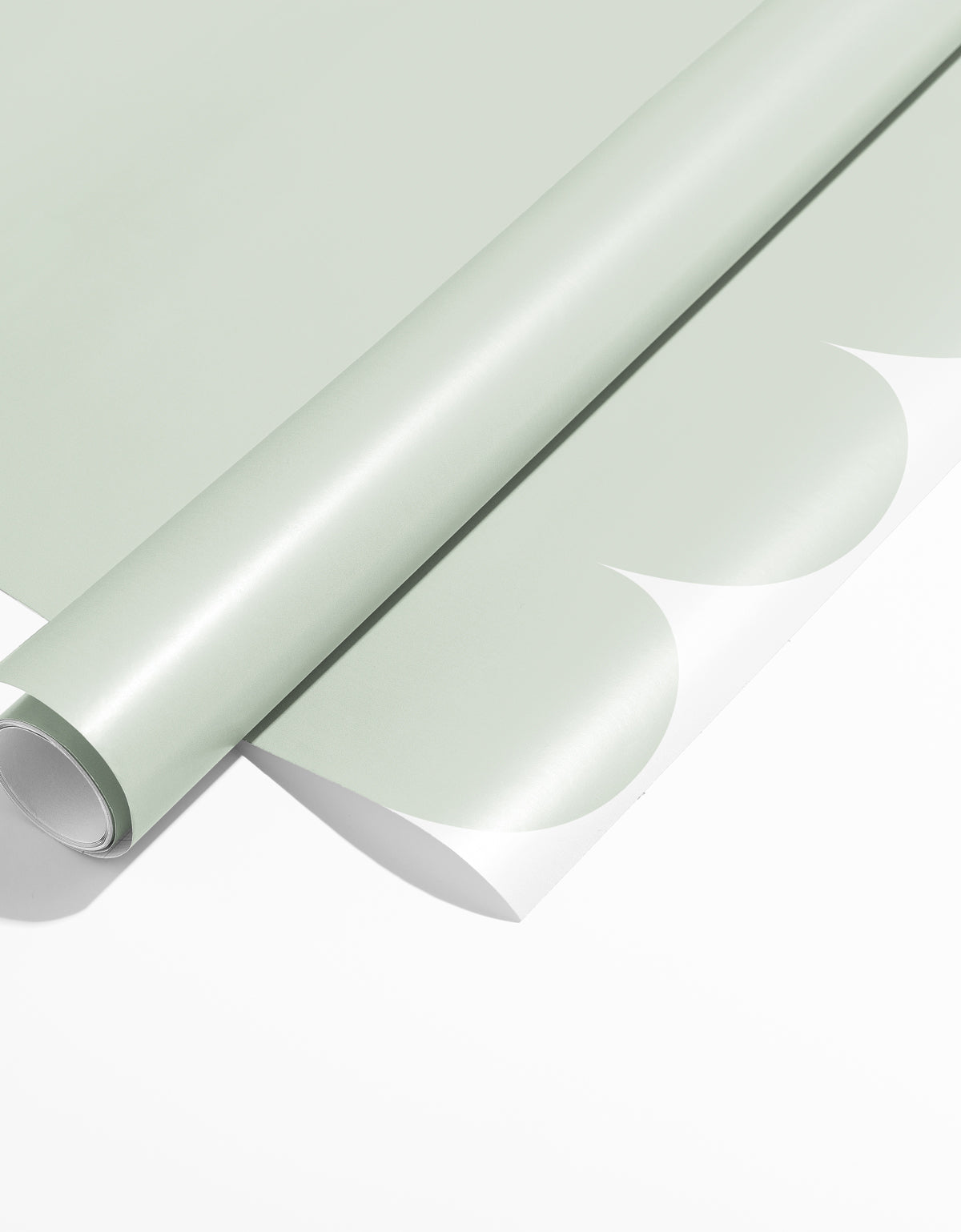 Papel de Parede Adesivo Meia Parede Cerquinha Eucalipto