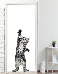Adesivo para Porta Little Cat