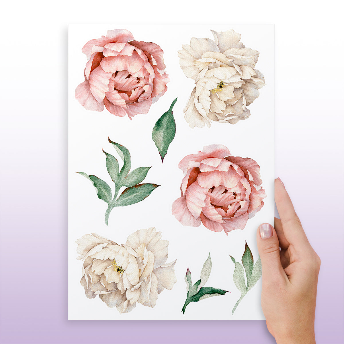 Cartela Adesiva Mini Peônias