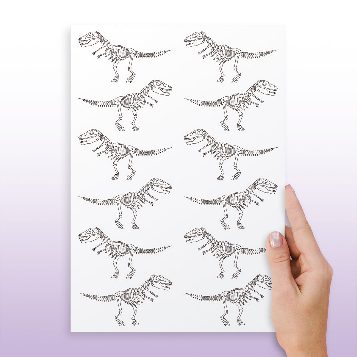 Cartela Adesiva Fossil de Dinossauros