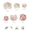 Adesivo Decorativo Kit Flores Peônias