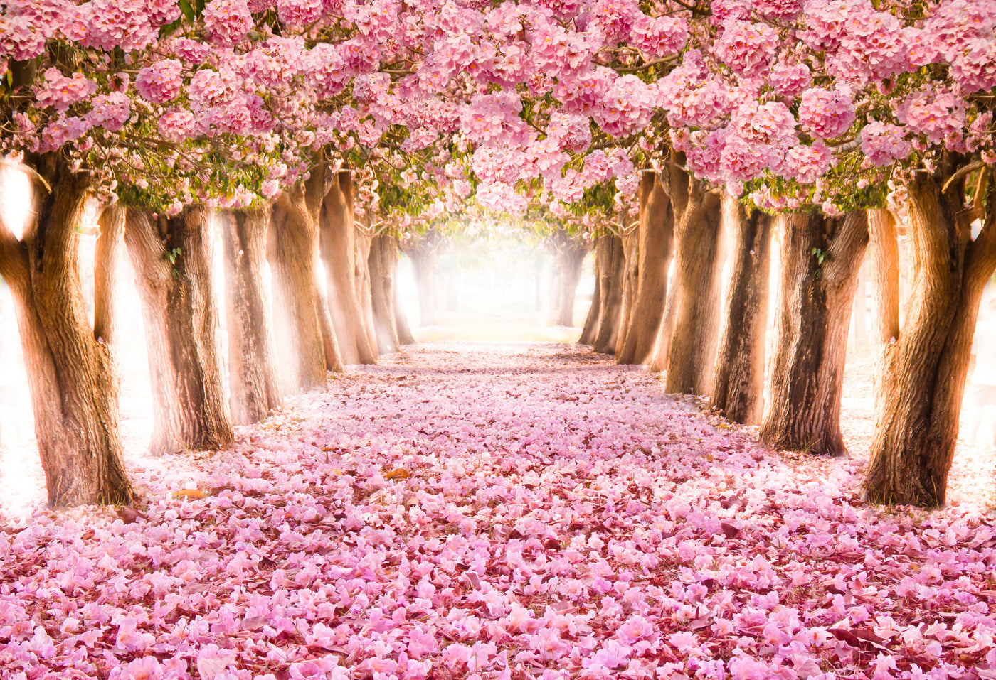 Painel de Parede Adesivo Caminhos das Flores
