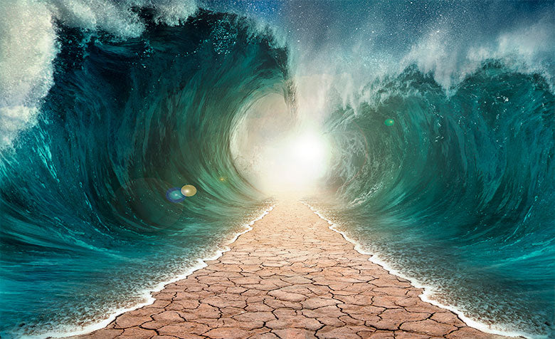 Painel de Parede Adesivo Mar Aberto