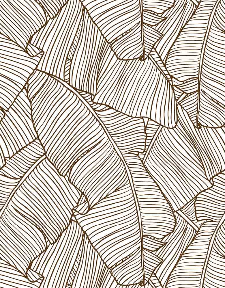 Papel De Parede Folha De Bananeira Marrom Adesivo 1,00m x 50cm