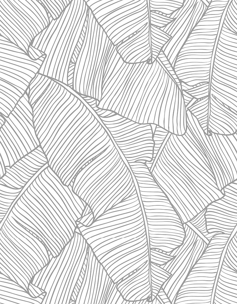 KIT DE 5 ROLOS - 2,50m x 50cm - Papel de Parede Adesivo Folha de Bananeira Cinza