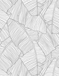 KIT DE 5 ROLOS - 2,50m x 50cm - Papel de Parede Adesivo Folha de Bananeira Cinza