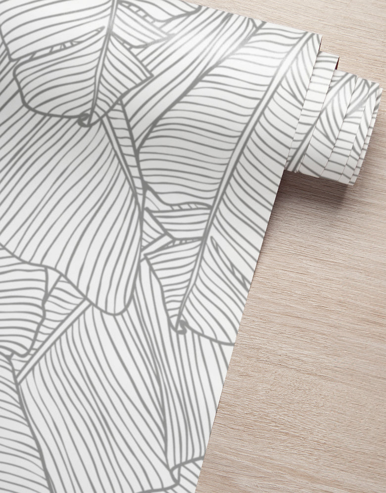 Papel de Parede Adesivo Folha de Bananeira Cinza