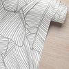 KIT DE 5 ROLOS - 2,50m x 50cm - Papel de Parede Adesivo Folha de Bananeira Cinza