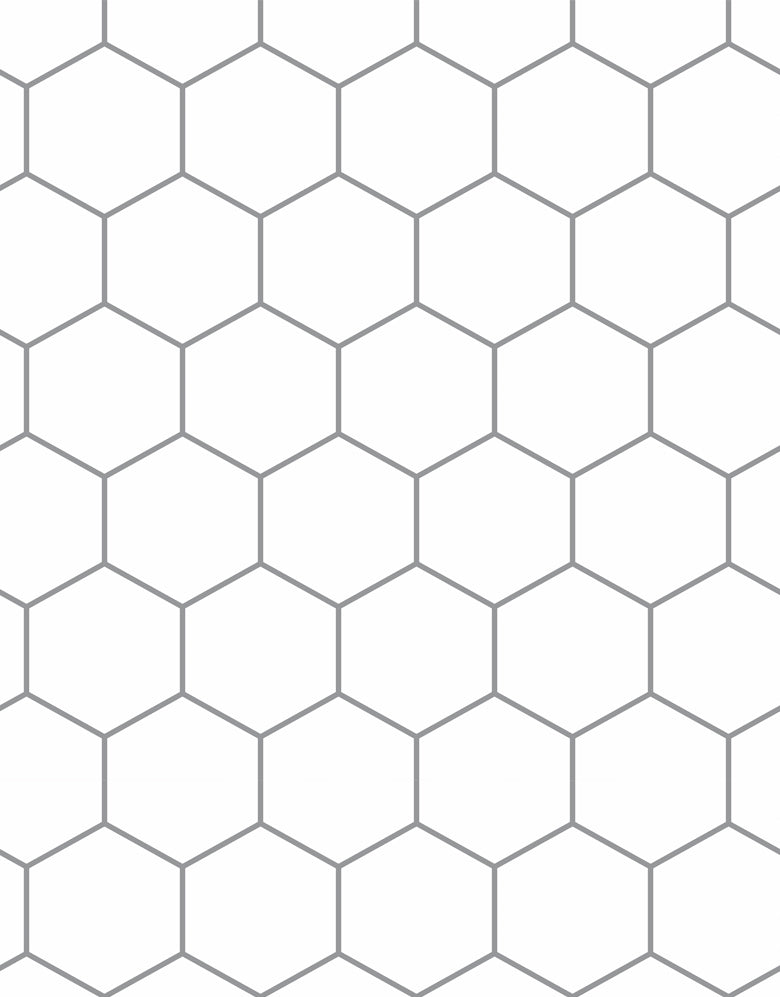 Papel de Parede Colmeia Minimalista