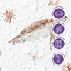 Papel de Parede Adesivo Tartaruga Marinha Aquarela