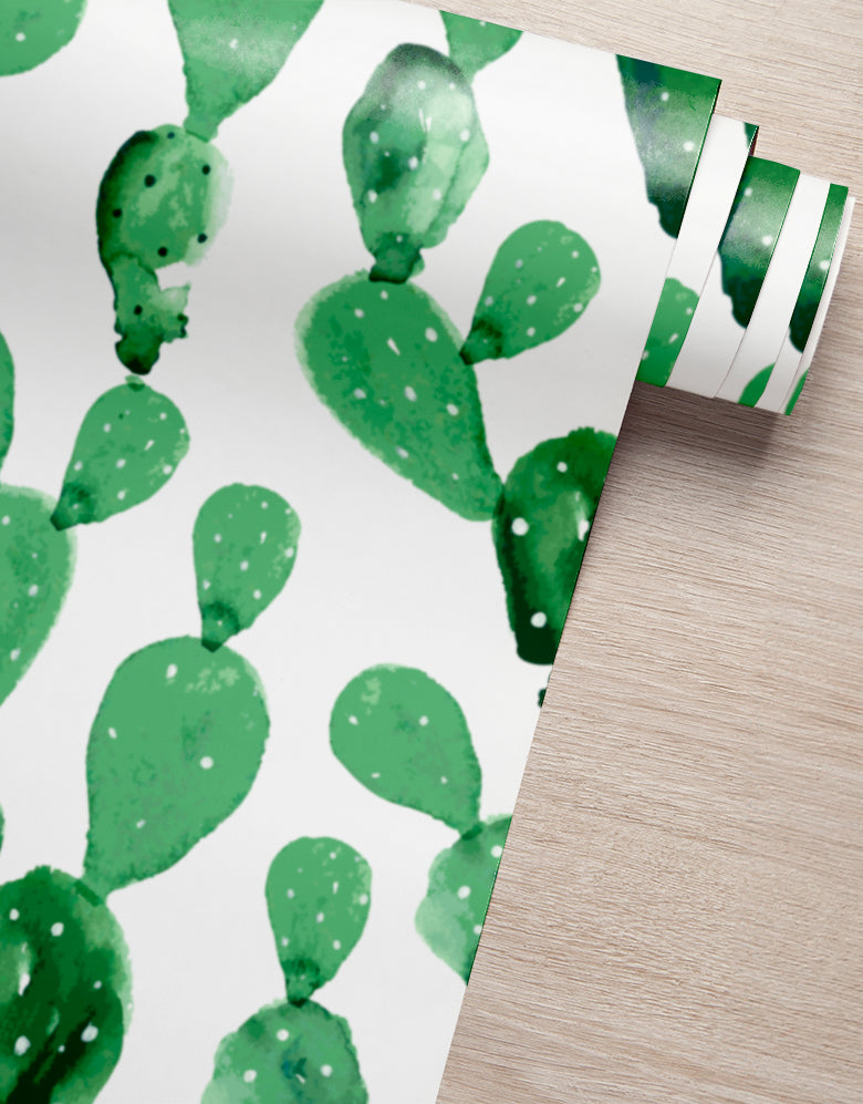 Papel de Parede Adesivo Cactos Aquarela