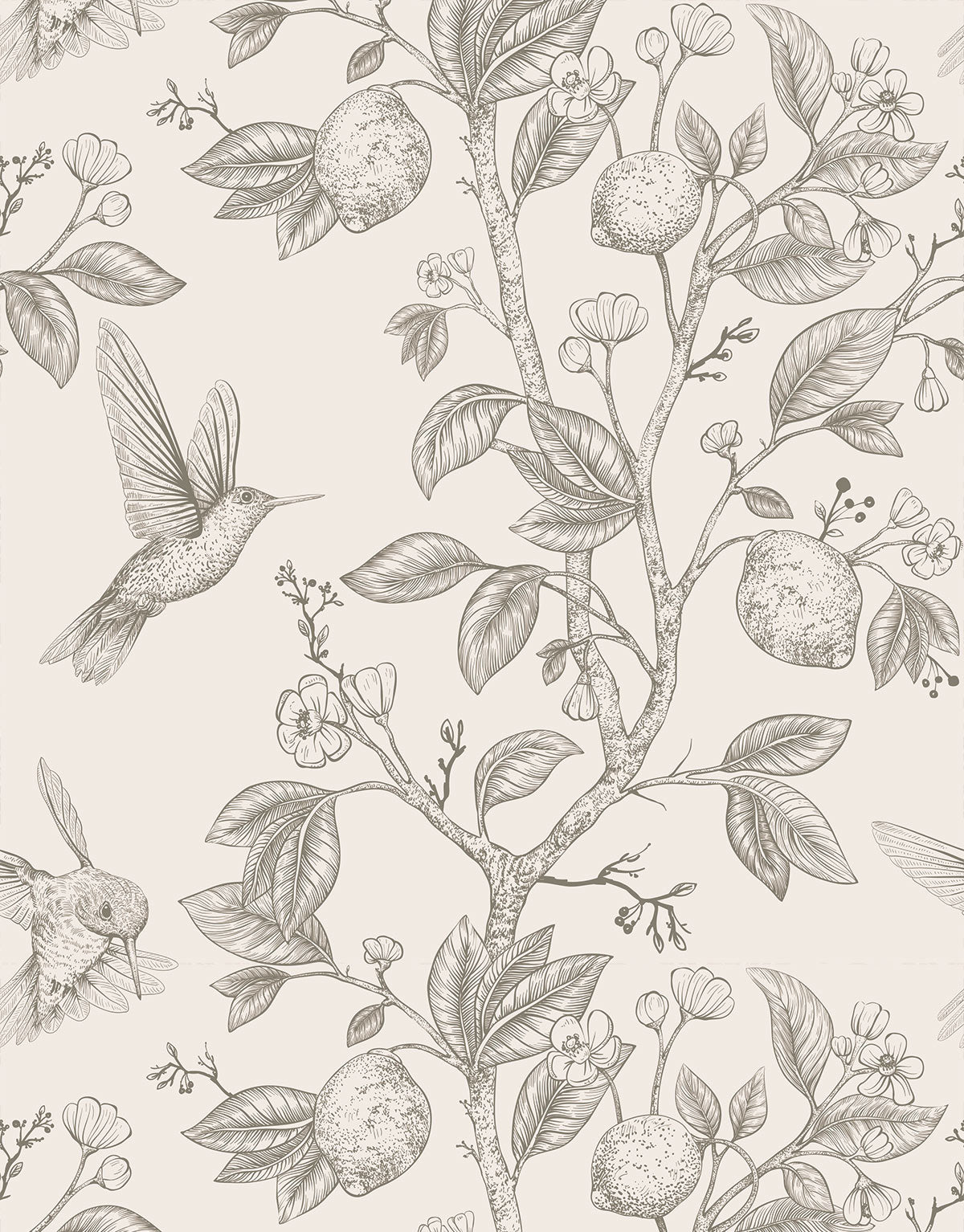 Papel de Parede Adesivo Botânico Vintage