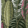Papel de Parede Adesivo Folhagem Tropical