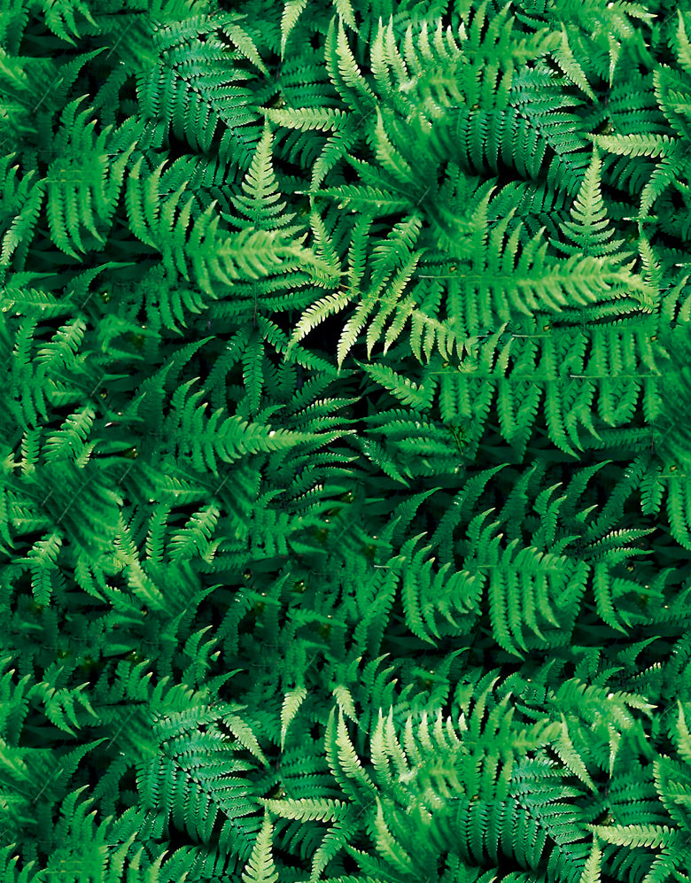 Papel De Parede Jardim Vertical