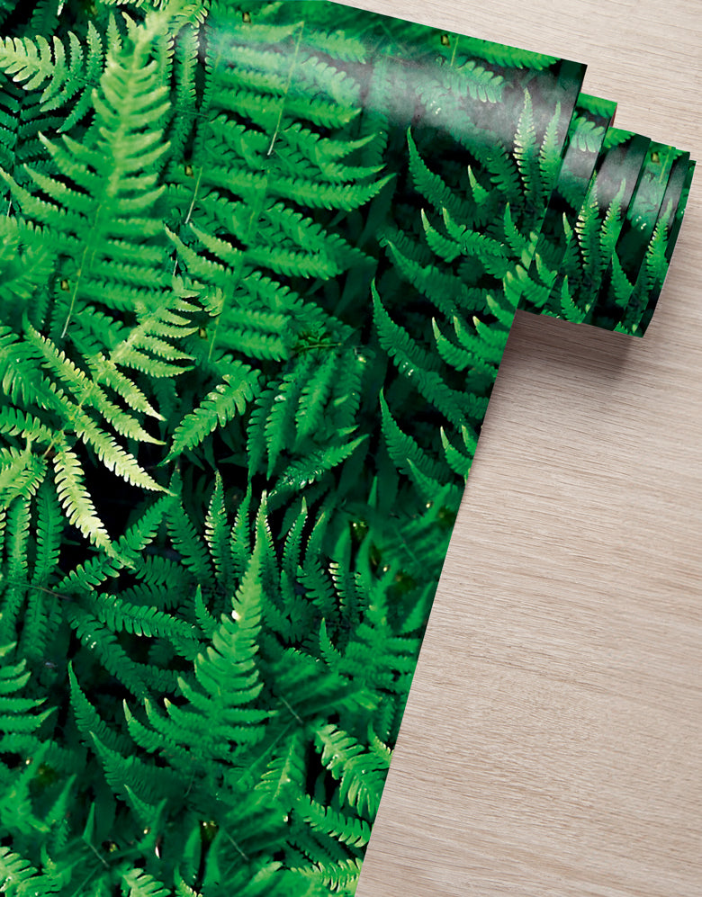 Papel De Parede Jardim Vertical