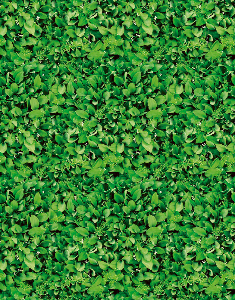 Papel de Parede Adesivo Folhas Muro Inglês