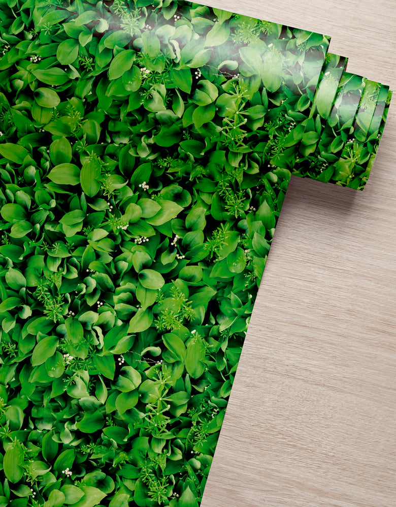 Papel de Parede Adesivo Folhas Muro Inglês