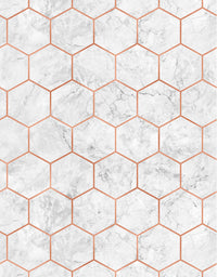 Papel de Parede Adesivo Colméia Rose