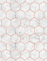 KIT DE 2 ROLOS - 4,00m x 50cm - Papel de Parede Adesivo Colméia Rose