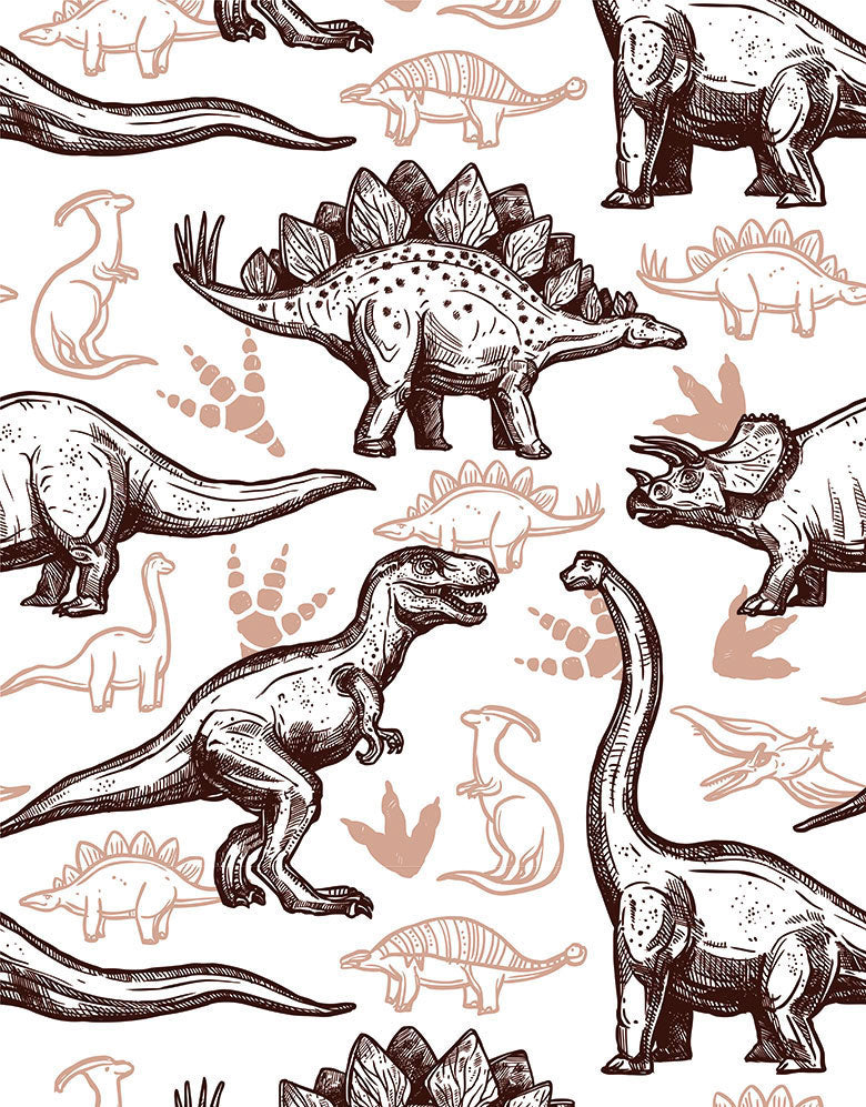 KIT DE 5 ROLOS - 1,50m x 50cm - Papel de Parede Adesivo Dinossauros