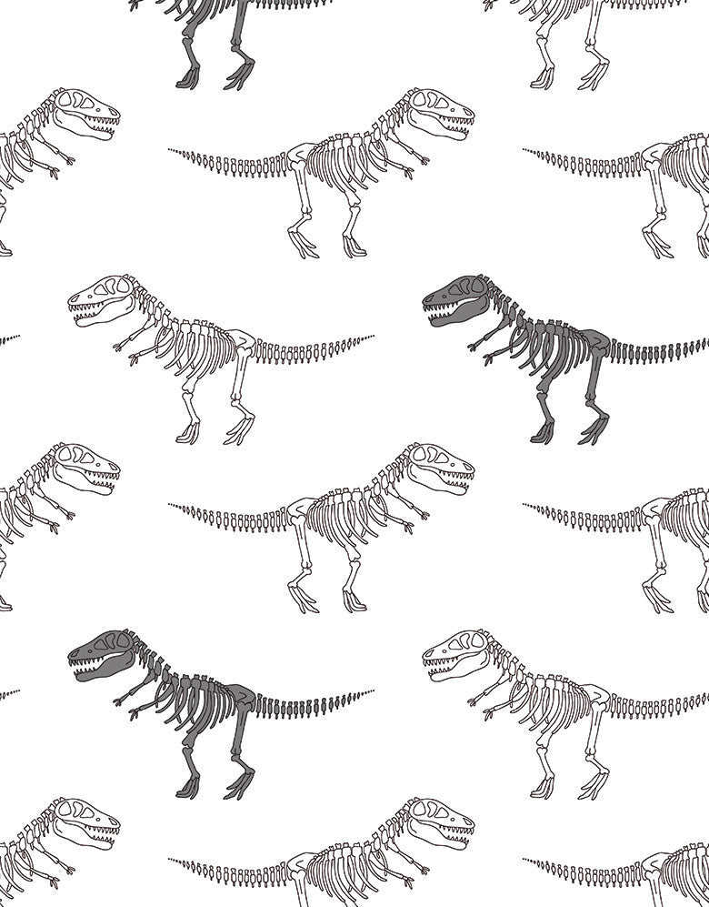 Papel de Parede Adesivo Fósseis