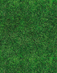 KIT DE 7 ROLOS - 3,00m x 50cm - Papel de Parede Adesivo Grama